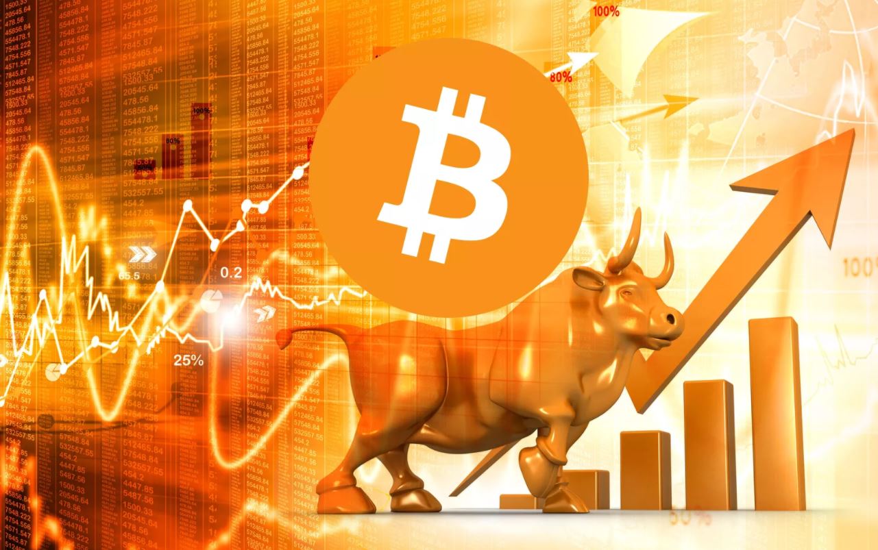 how to make money in a bull market crypto