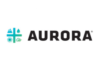 aurora cannabis stock
