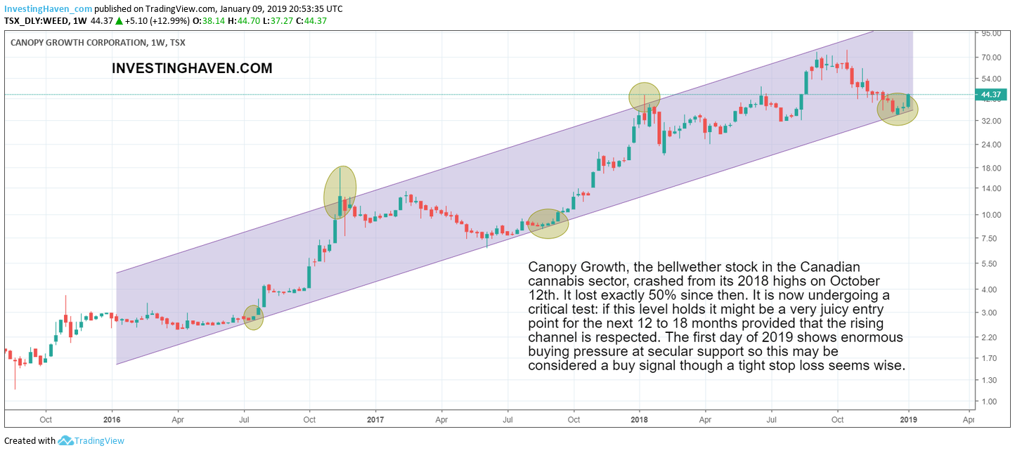 stock tips 2019 WEED