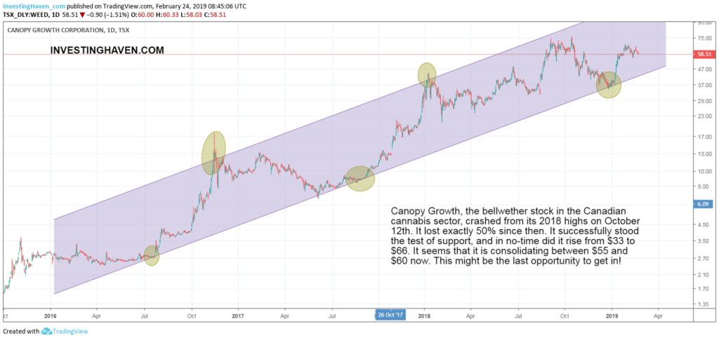 top cannabis stock forecast 2019 2020 WEED