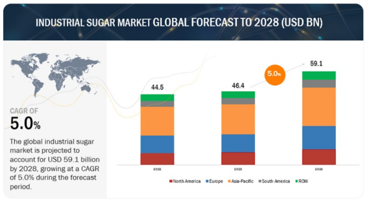 global sugar market 2024 2025
