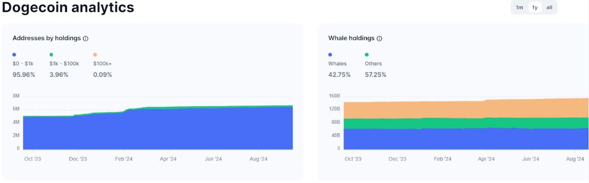 dogecoin analytics