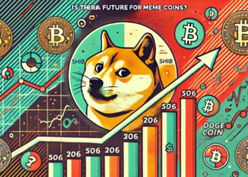 meme coins future