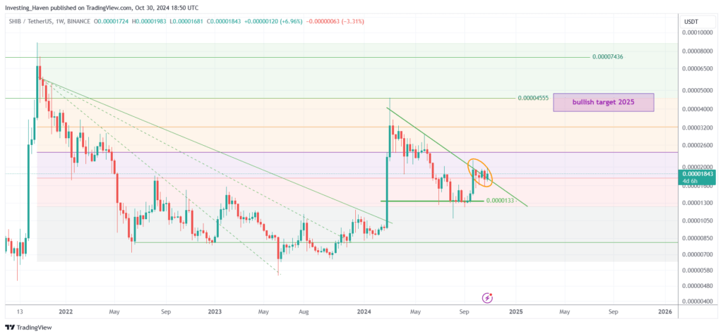 Shiba Inu Primed for a Strong 2025 as Top Platform Projects Rally to $0.0000495