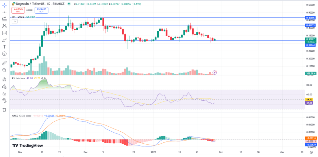 DOGE Chart News