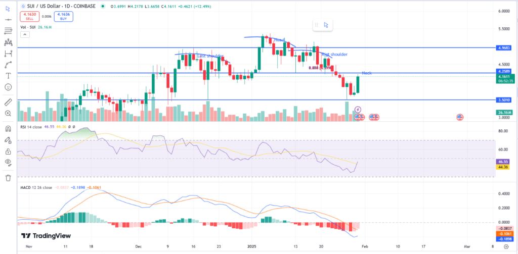 Sui Crypto Rally 