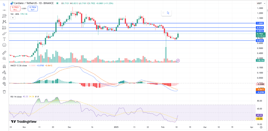 Cardano Chart Today 