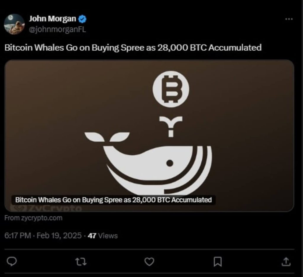 Bitcoin Whale Tweet