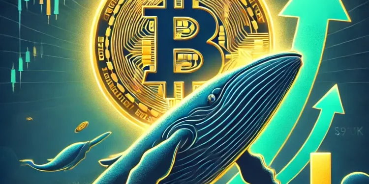 Bitcoin Whale News