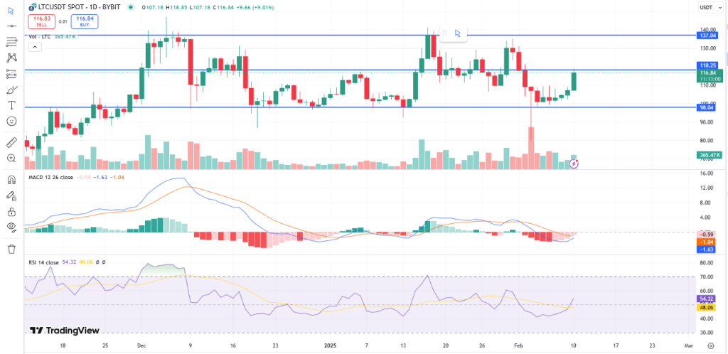 Litecoin usdt chart today