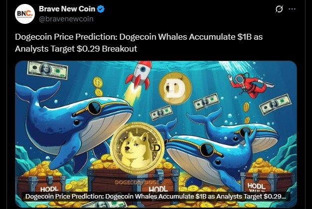 Dogecoin 2