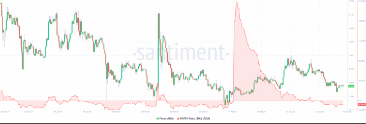 cardano 2