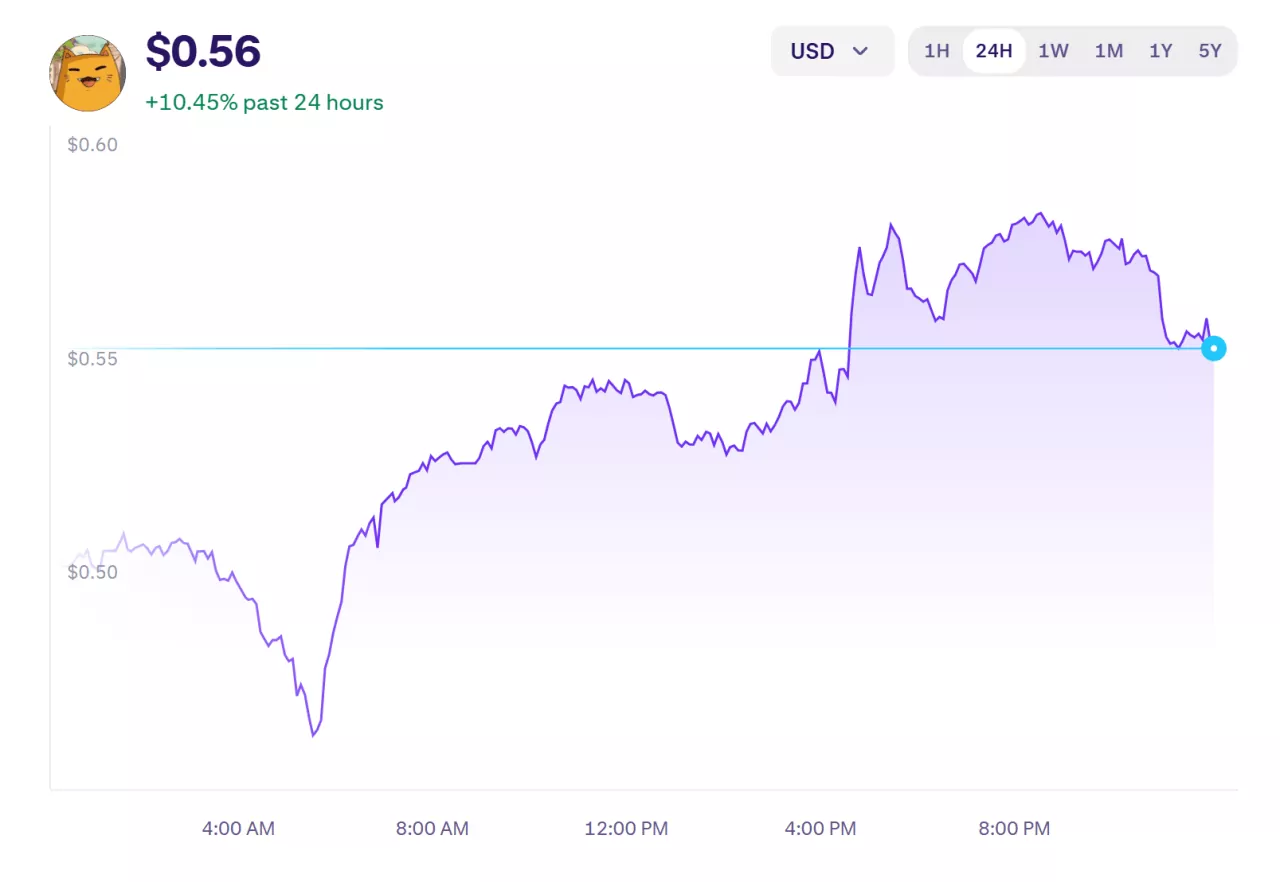 Ket (KET) vs. DogWifHat (WIF): Battle of the New Meme Kings - InvestingHaven