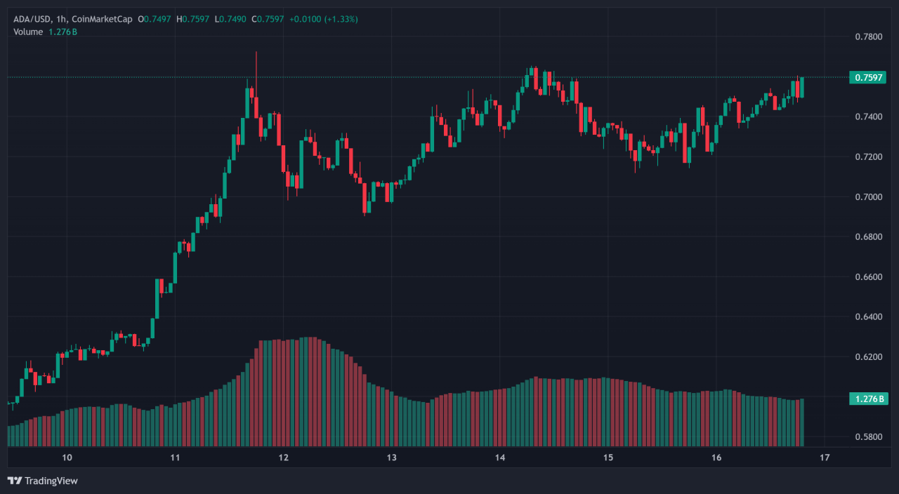 Cardano 1