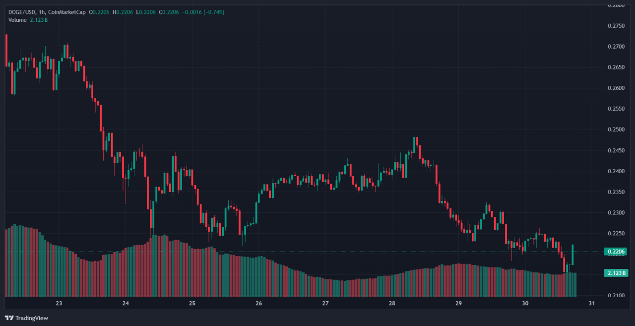 Dogecoin 1