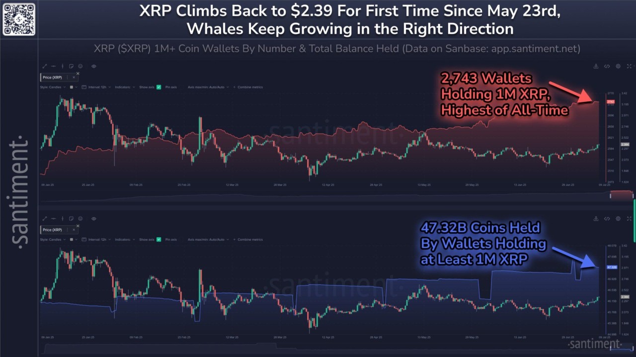 XRP 1