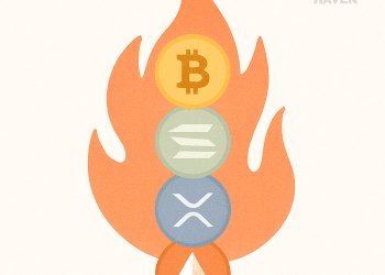 5 Of The Hottest Crypto Right Now