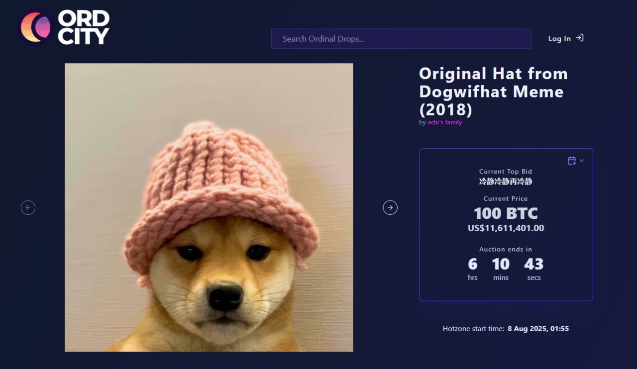 5 Reasons to Buy Dogwifhat (WIF)