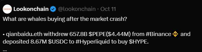 Pepe Coin Under Pressure