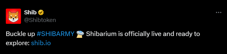 5 Reasons to Buy Shiba Inu (SHIB)