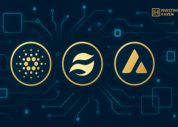 Crypto Crash Playbook: Which Coins Look Ready For A Major Recovery Rally?