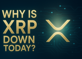 Why Is XRP Down Today?