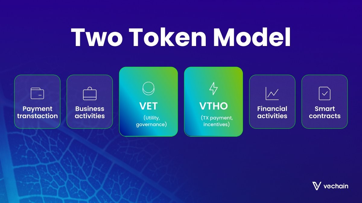 Top Reasons to Buy Vechain