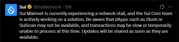 What Caused The Sui Network Outage