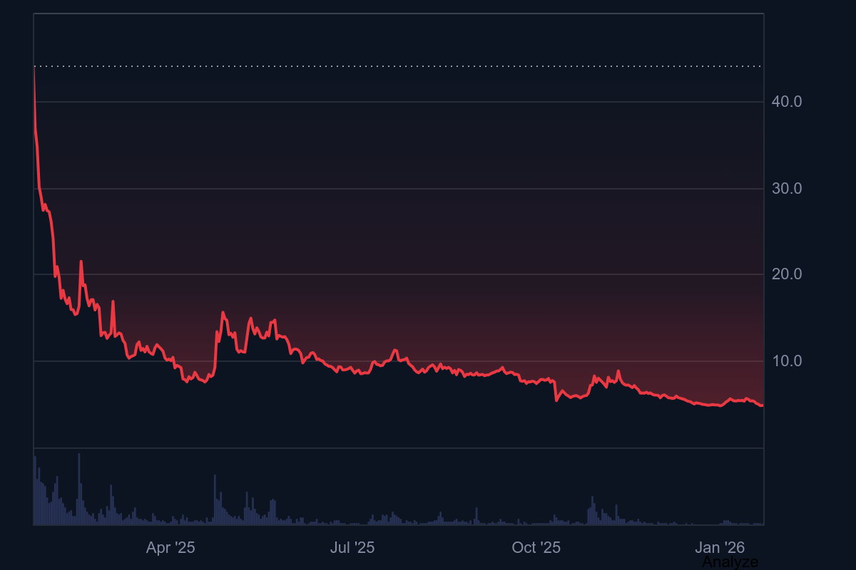 From Viral Surge To Sharp Crash