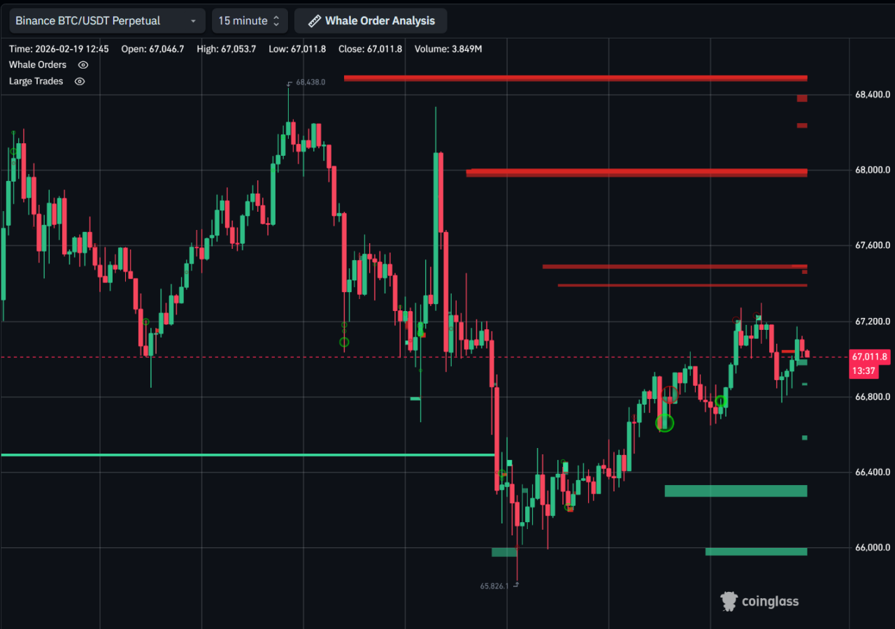 What Whale Activity Really Shows Right Now